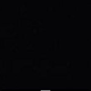 Meet your Posher, Bella